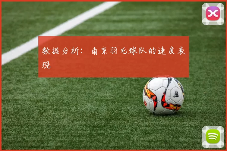 数据分析：南京羽毛球队的速度表现
