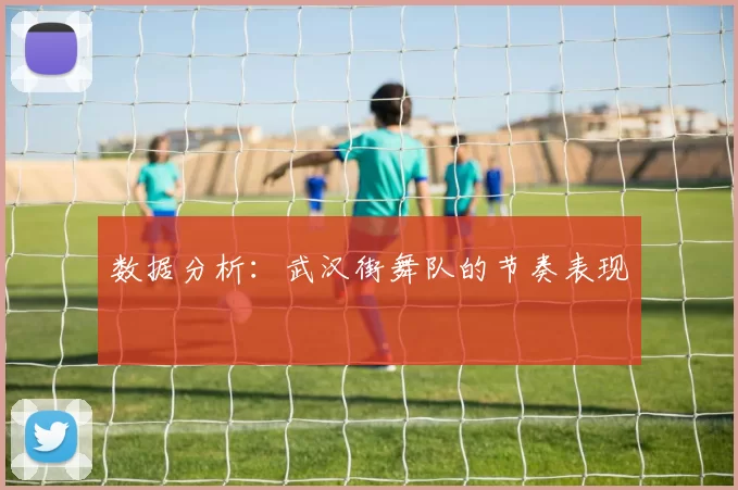 数据分析：武汉街舞队的节奏表现