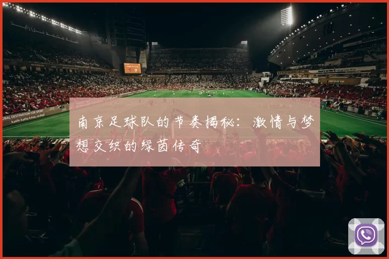 南京足球队的节奏揭秘：激情与梦想交织的绿茵传奇