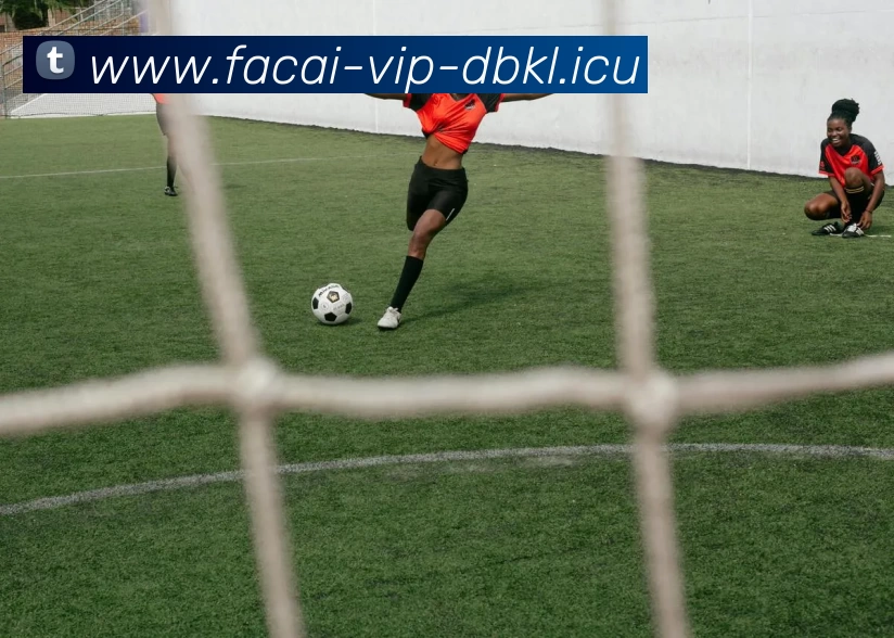 乐鱼体育品牌故事