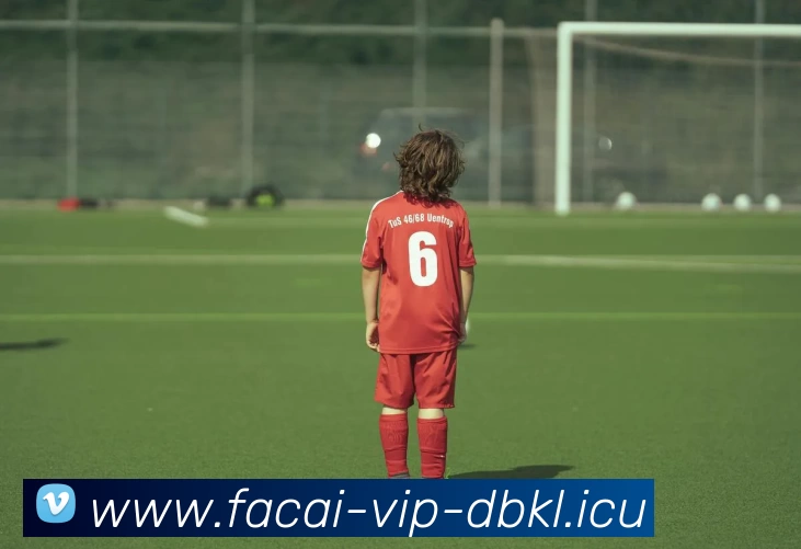 乐鱼体育服务体系